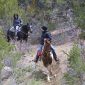 Horseback Riding in the Royal Gorge Region