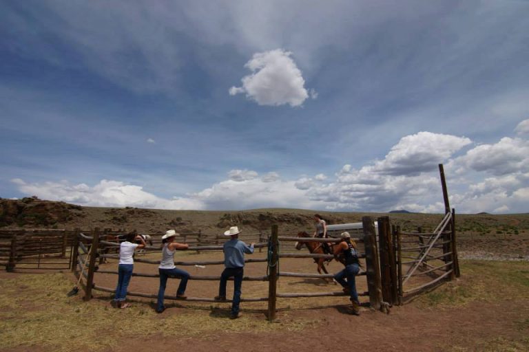 badger creek ranch 3 2 1 768x512