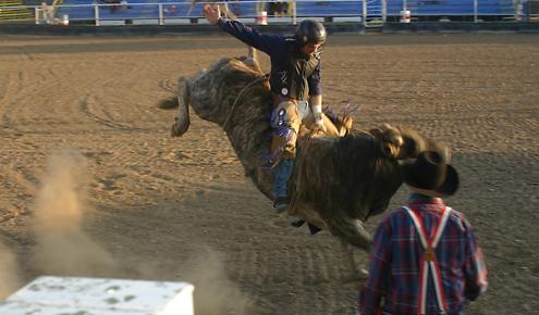 Bull Riding in Fremont County