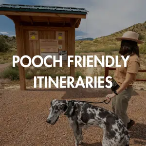 pooch friendly itineraries