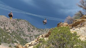 Zipline Adventures